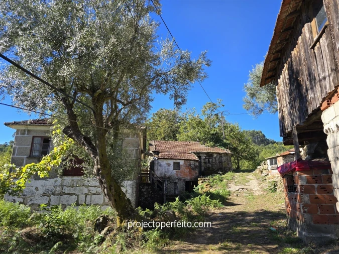 Quinta T0 para Venda em Arnoia Foto 8