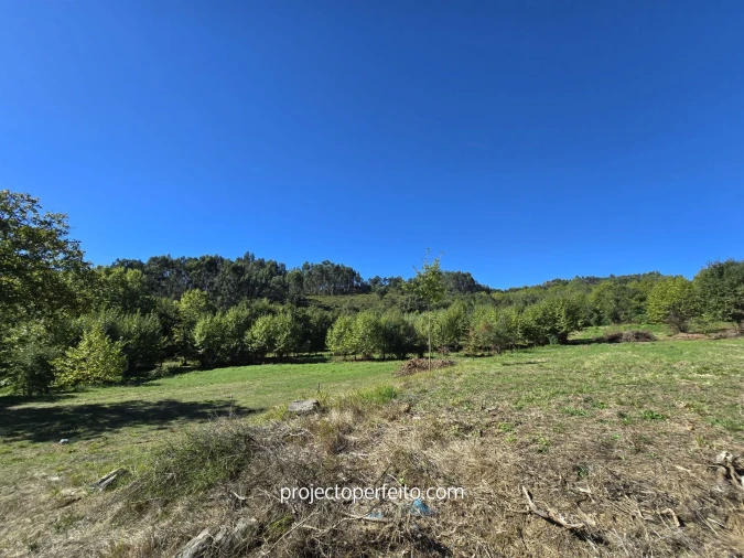 Quinta T0 para Venda em Arnoia Foto 20