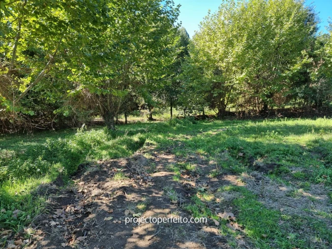 Quinta T0 para Venda em Arnoia Foto 28