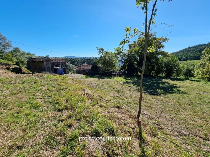 Quinta T0 para Venda em Arnoia Foto 22