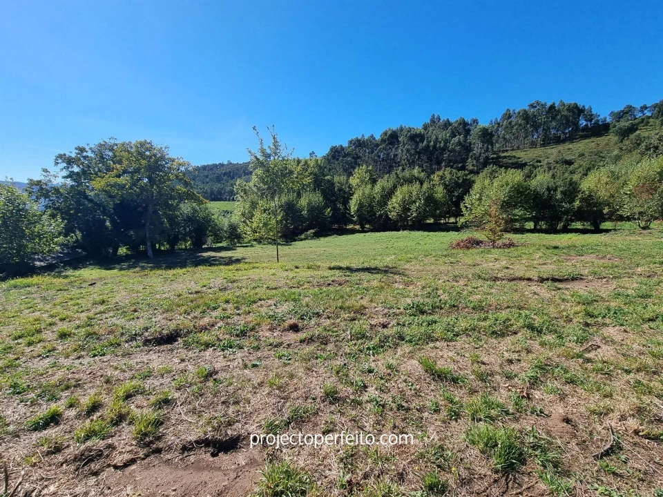 Quinta T0 para Venda em Arnoia Foto 19