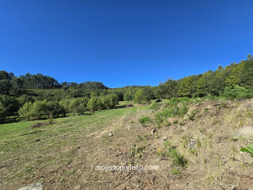 Quinta T0 para Venda em Arnoia Foto 29