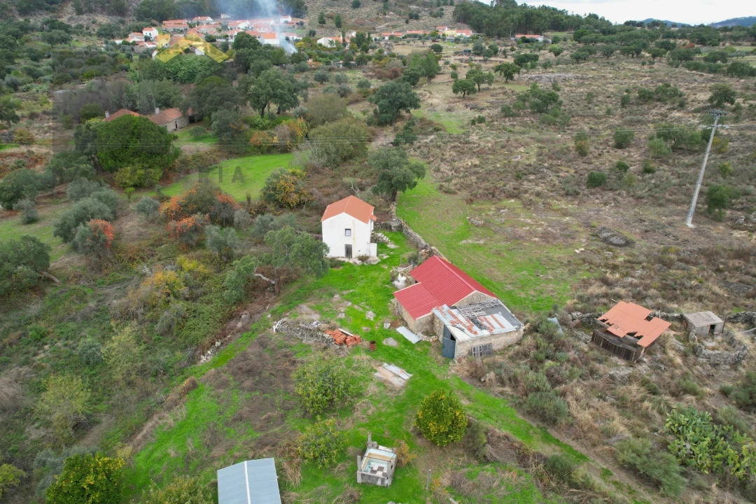 Quinta T0 para Venda em Monsanto e Idanha-A-Velha Foto 6