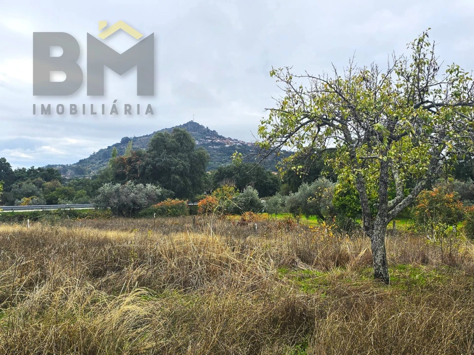 Quinta T0 para Venda em Monsanto e Idanha-A-Velha Foto 30