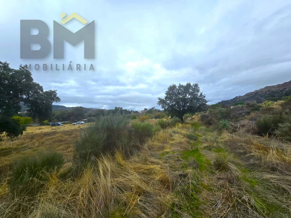 Quinta T0 para Venda em Monsanto e Idanha-A-Velha Foto 28