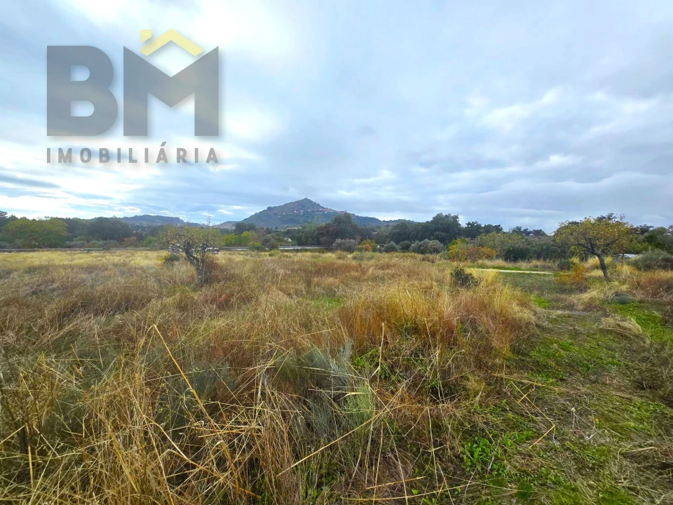Quinta T0 para Venda em Monsanto e Idanha-A-Velha Foto 27