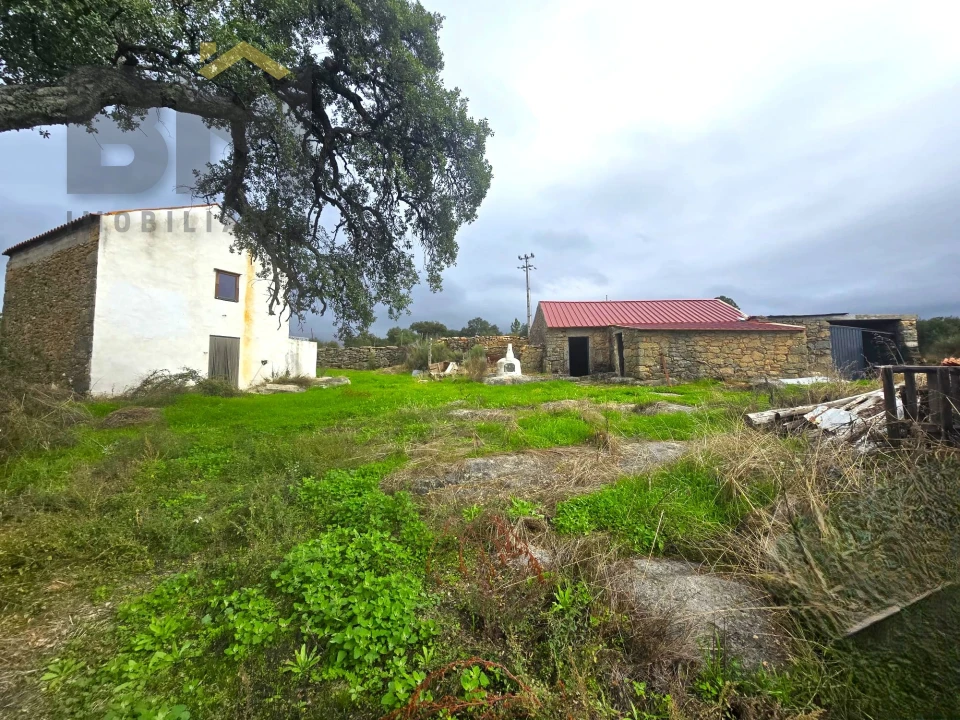Quinta T0 para Venda em Monsanto e Idanha-A-Velha Foto 12