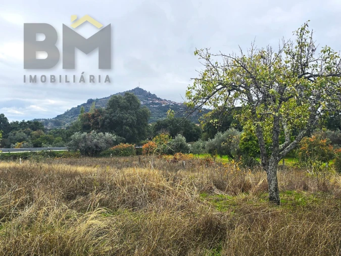 Quinta T0 para Venda em Monsanto e Idanha-A-Velha Foto 30