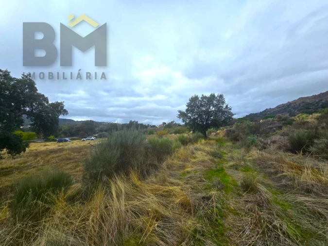 Quinta T0 para Venda em Monsanto e Idanha-A-Velha Foto 28
