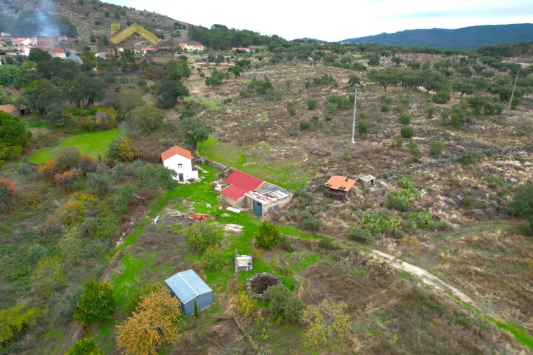 Quinta T0 para Venda em Monsanto e Idanha-A-Velha Foto 4
