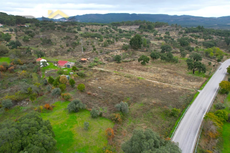 Quinta T0 para Venda em Monsanto e Idanha-A-Velha Foto 7