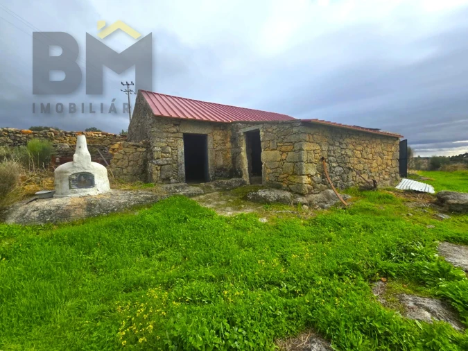 Quinta T0 para Venda em Monsanto e Idanha-A-Velha Foto 3