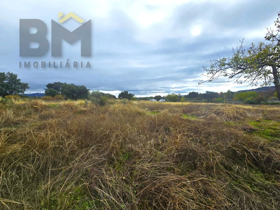 Quinta T0 para Venda em Monsanto e Idanha-A-Velha Foto 32