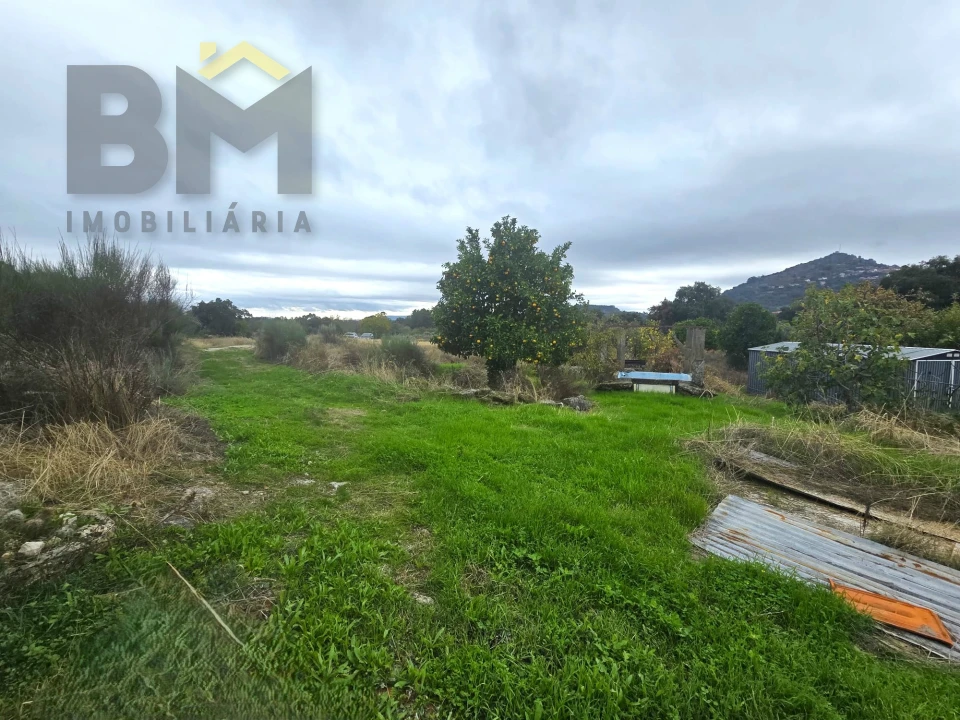 Quinta T0 para Venda em Monsanto e Idanha-A-Velha Foto 36