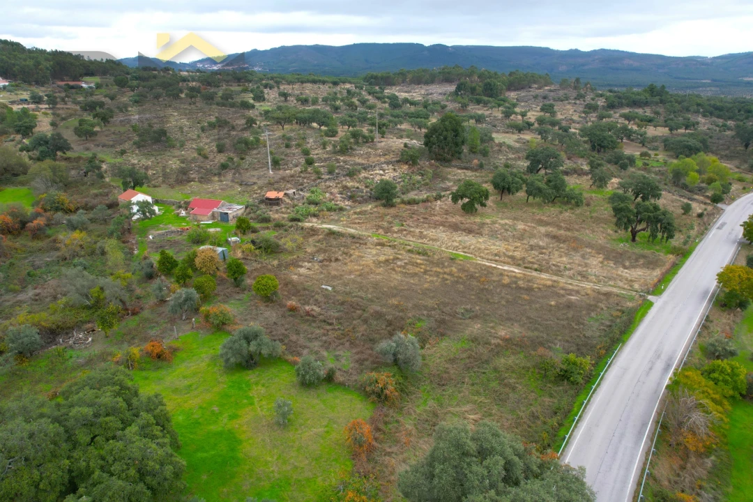 Quinta T0 para Venda em Monsanto e Idanha-A-Velha Foto 7