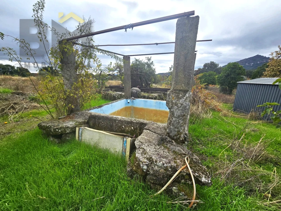 Quinta T0 para Venda em Monsanto e Idanha-A-Velha Foto 35