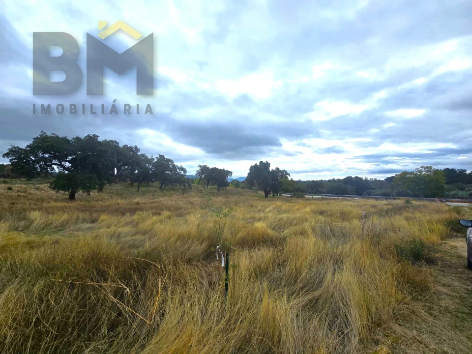 Quinta T0 para Venda em Monsanto e Idanha-A-Velha Foto 26
