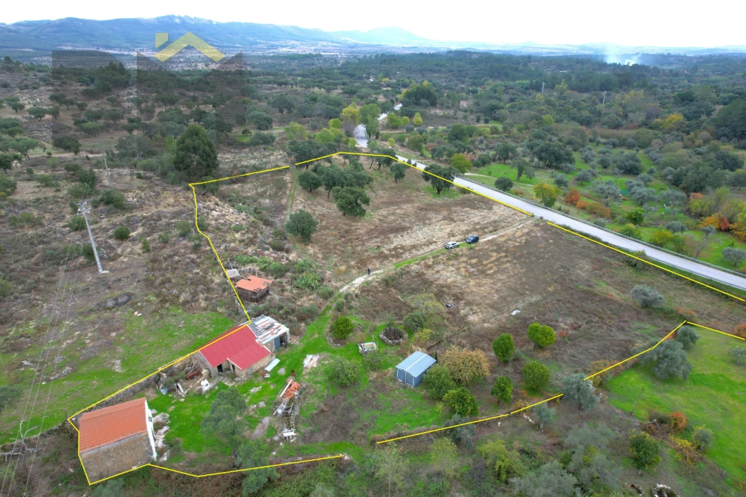 Quinta T0 para Venda em Monsanto e Idanha-A-Velha Foto 9