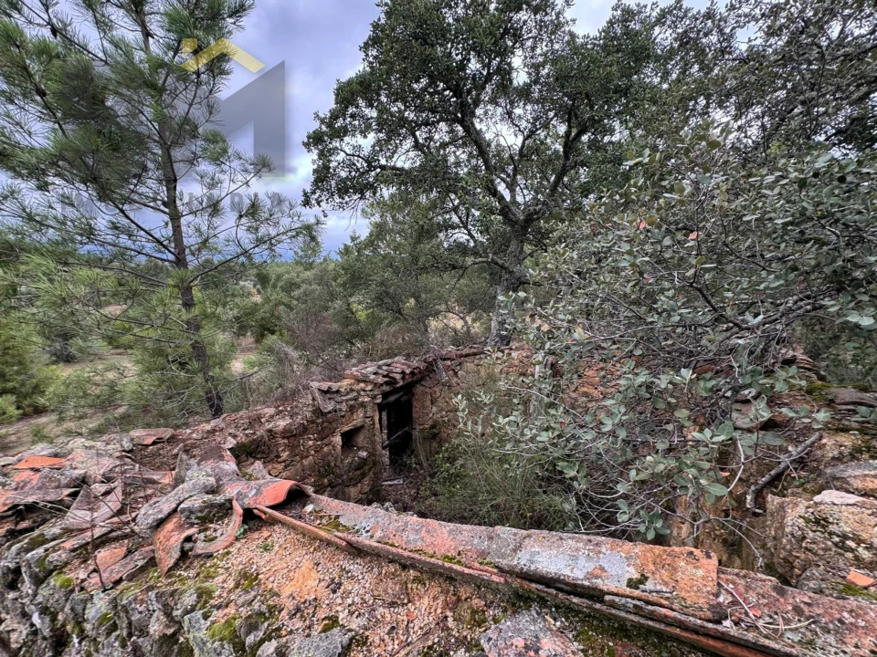 Quinta T0 para Venda em Freixial e Juncal do Campo Foto 4