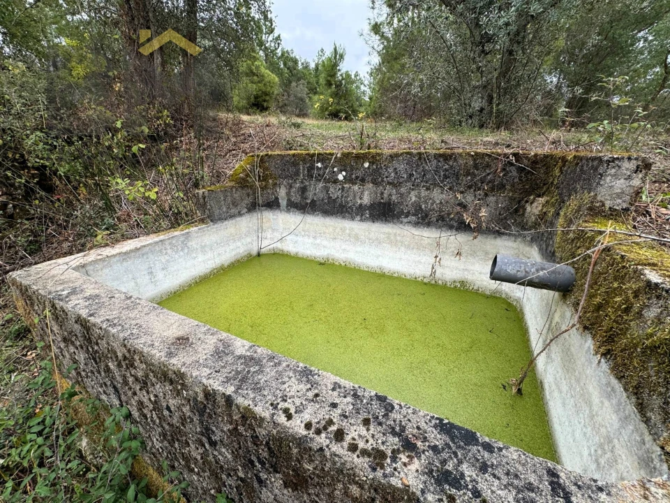 Quinta T0 para Venda em Freixial e Juncal do Campo Foto 7