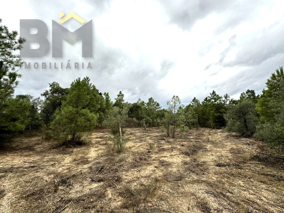 Quinta T0 para Venda em Freixial e Juncal do Campo Foto 10