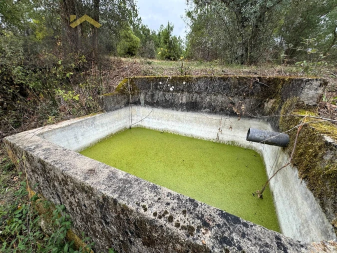 Quinta T0 para Venda em Freixial e Juncal do Campo Foto 7