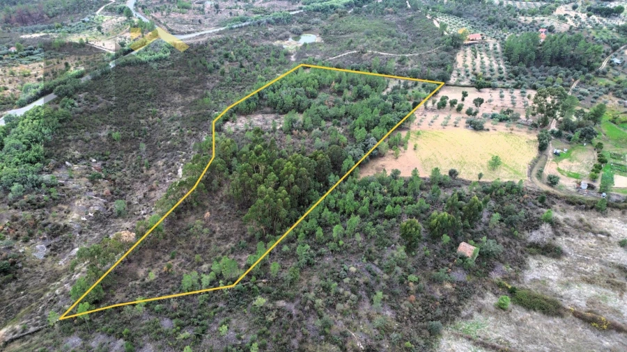 Quinta T0 para Venda em Freixial e Juncal do Campo Foto 2