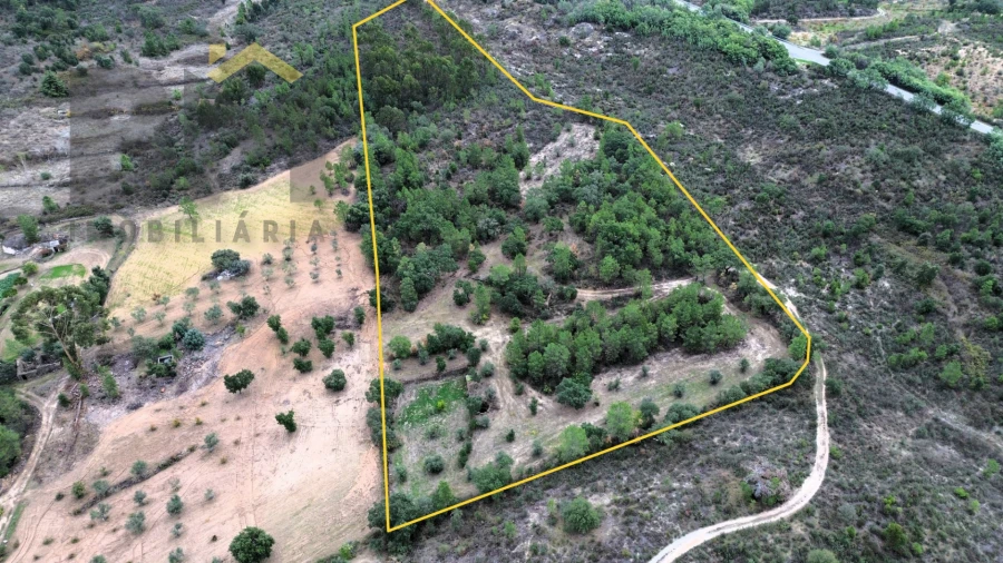 Quinta T0 para Venda em Freixial e Juncal do Campo Foto 1