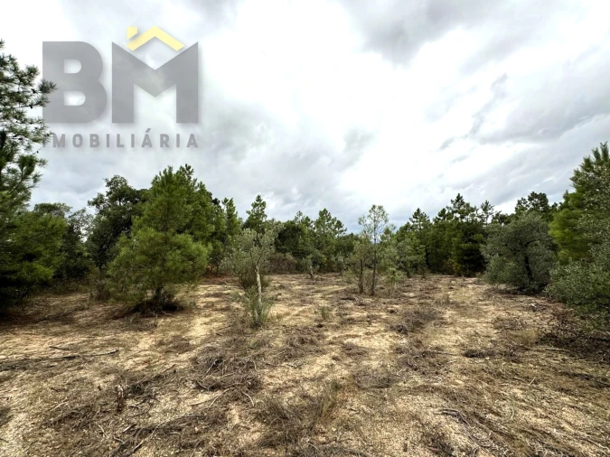 Quinta T0 para Venda em Freixial e Juncal do Campo Foto 10