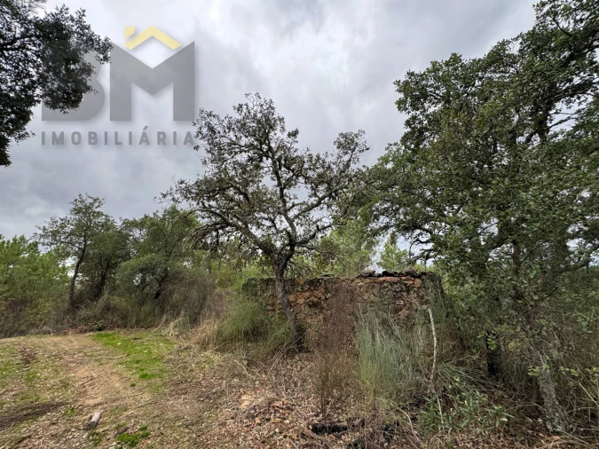 Quinta T0 para Venda em Freixial e Juncal do Campo Foto 3