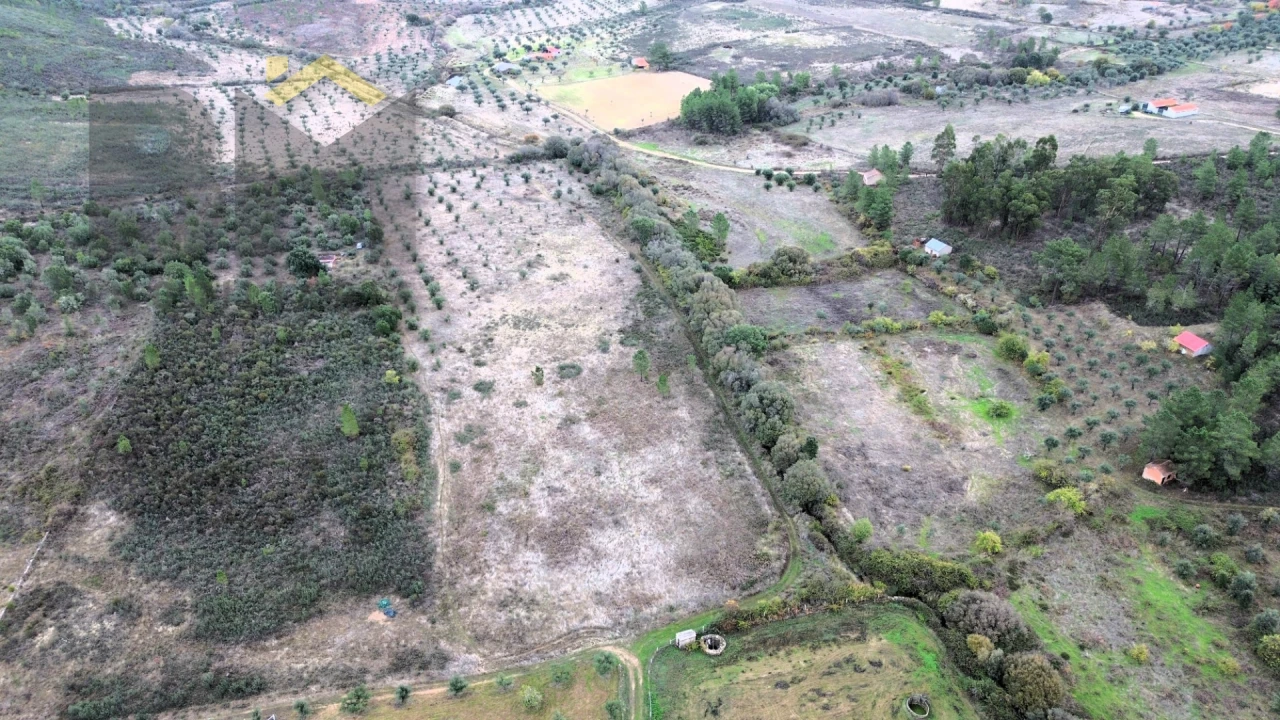 Quinta T0 para Venda em Freixial e Juncal do Campo Foto 21