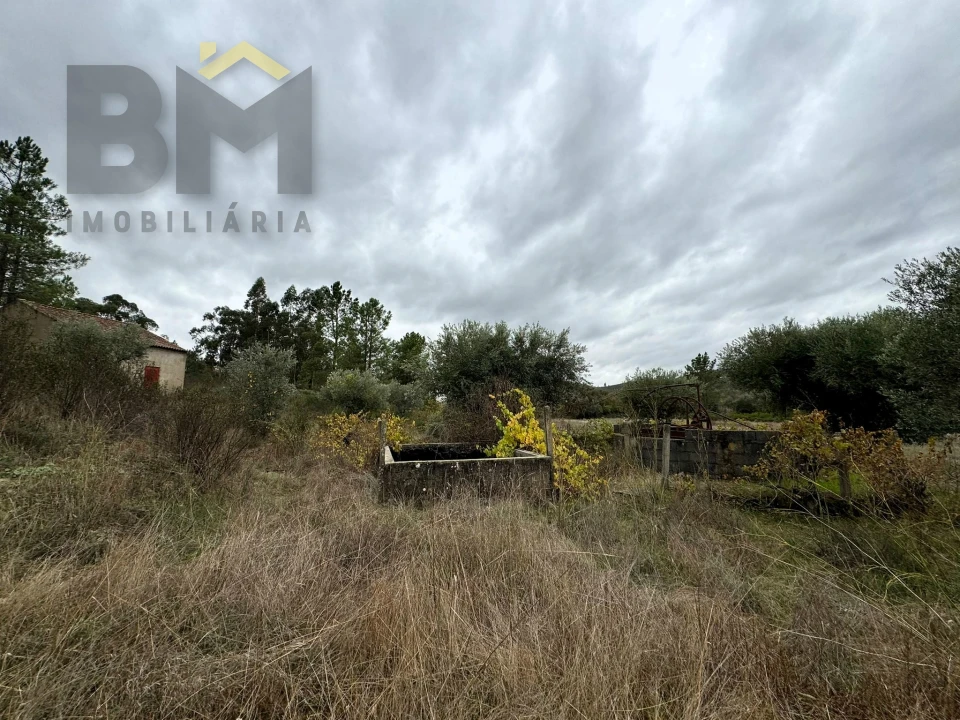 Quinta T0 para Venda em Freixial e Juncal do Campo Foto 3