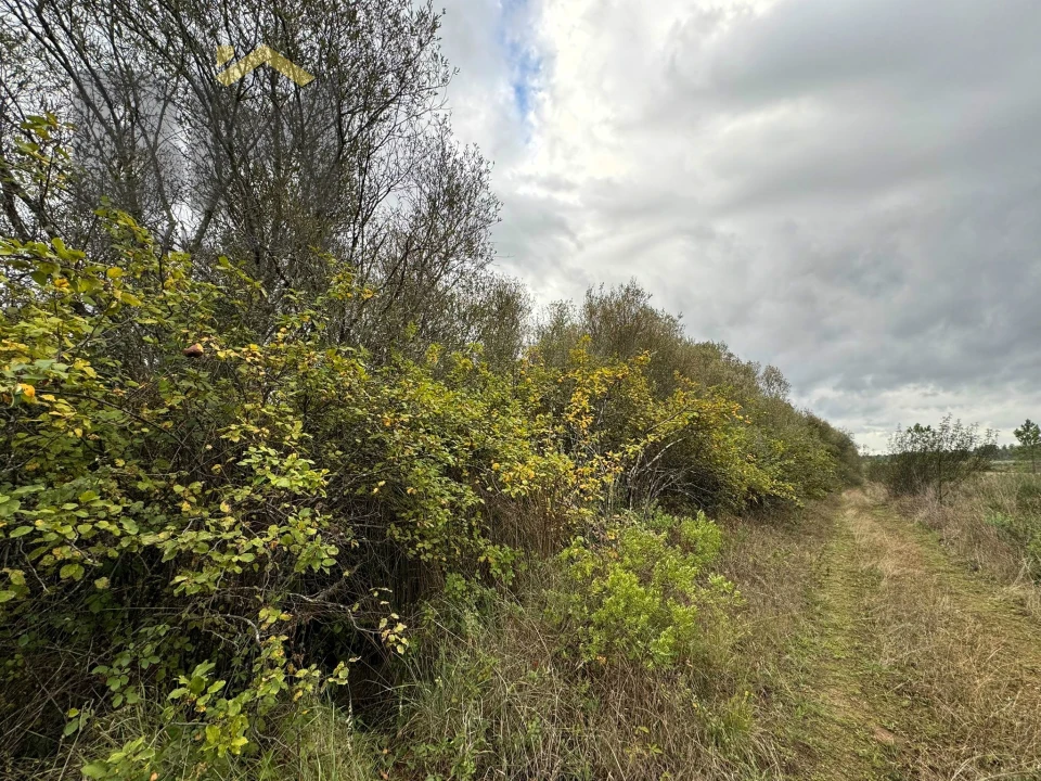 Quinta T0 para Venda em Freixial e Juncal do Campo Foto 17