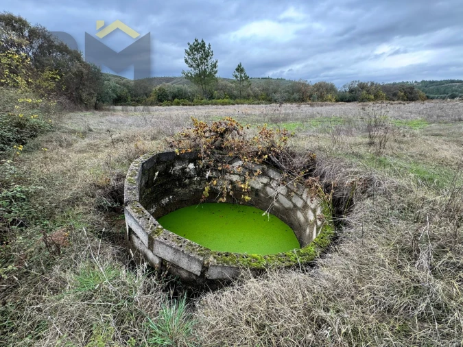 Quinta T0 para Venda em Freixial e Juncal do Campo Foto 8