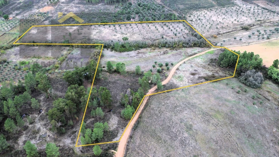 Quinta T0 para Venda em Freixial e Juncal do Campo Foto 2