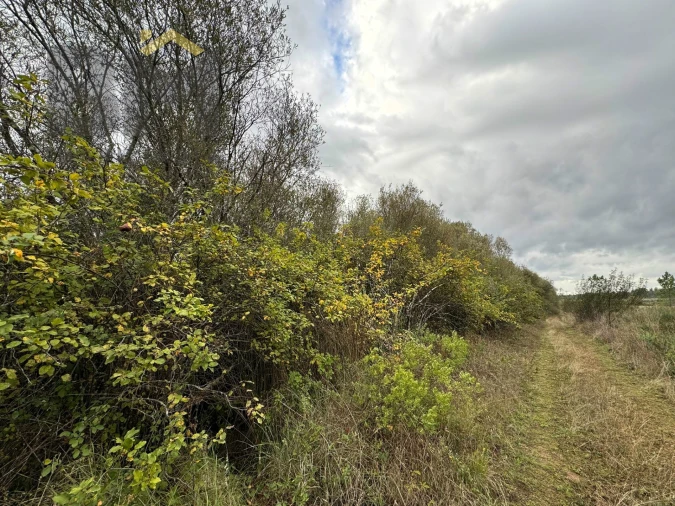 Quinta T0 para Venda em Freixial e Juncal do Campo Foto 17