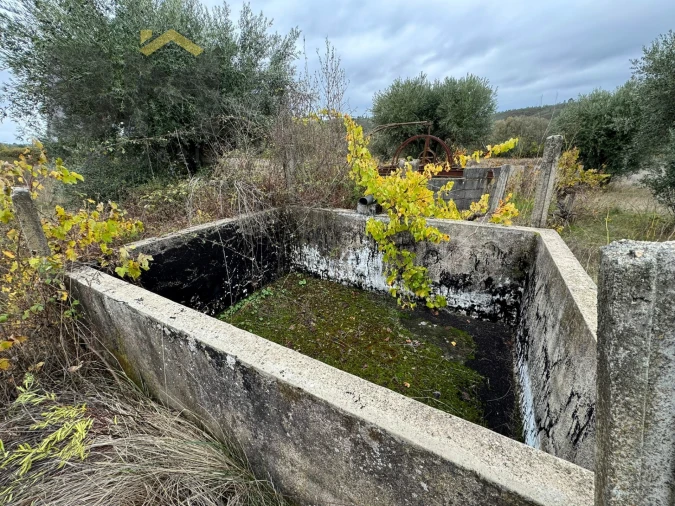 Quinta T0 para Venda em Freixial e Juncal do Campo Foto 7