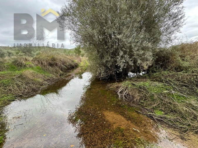 Quinta T0 para Venda em Freixial e Juncal do Campo Foto 10