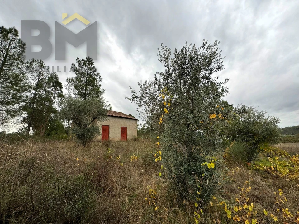 Quinta T0 para Venda em Freixial e Juncal do Campo Foto 4