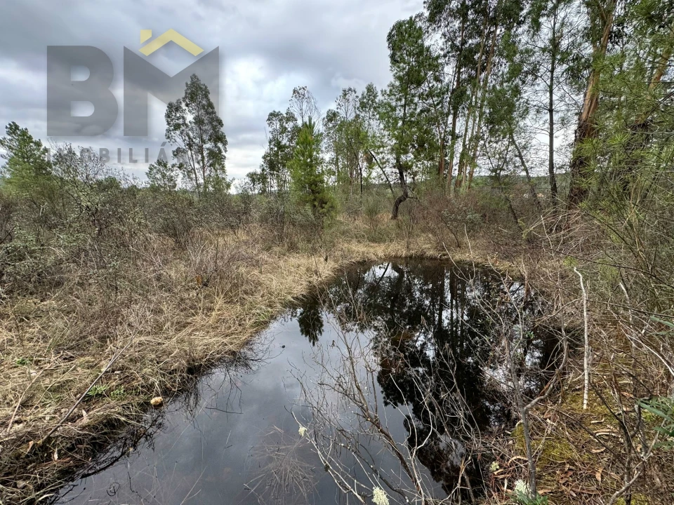 Quinta T0 para Venda em Freixial e Juncal do Campo Foto 11