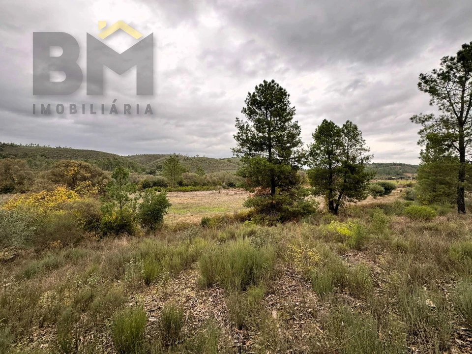 Quinta T0 para Venda em Freixial e Juncal do Campo Foto 13