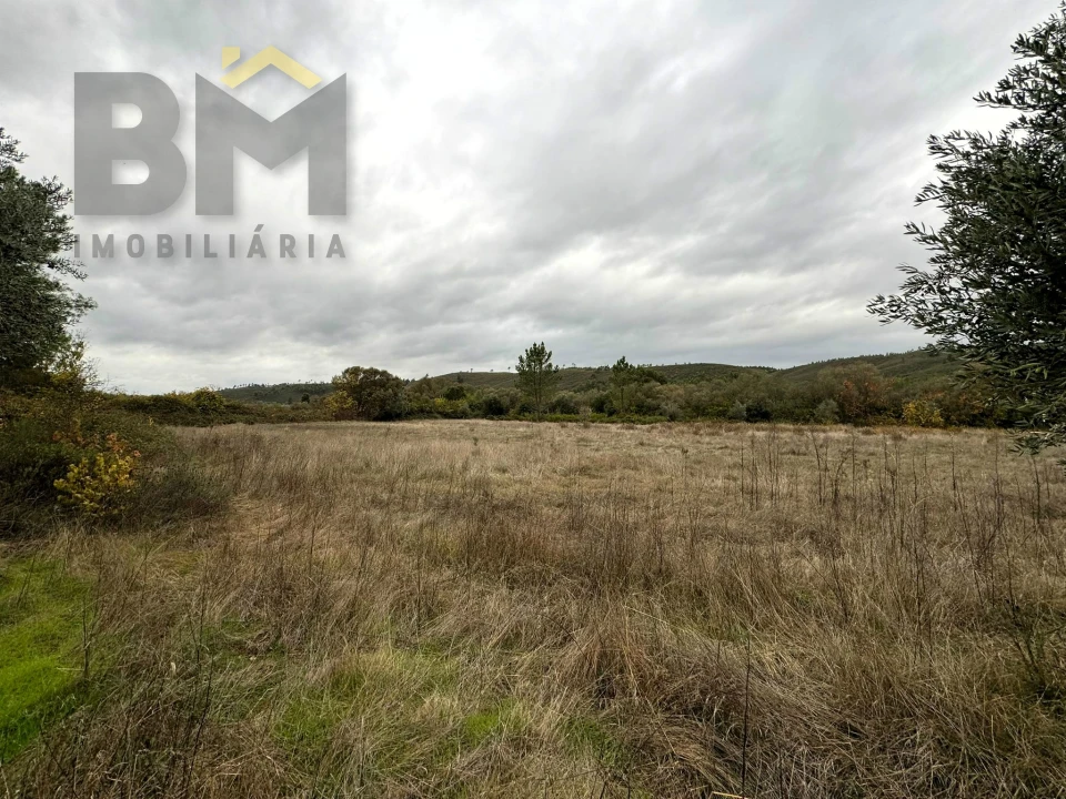 Quinta T0 para Venda em Freixial e Juncal do Campo Foto 14