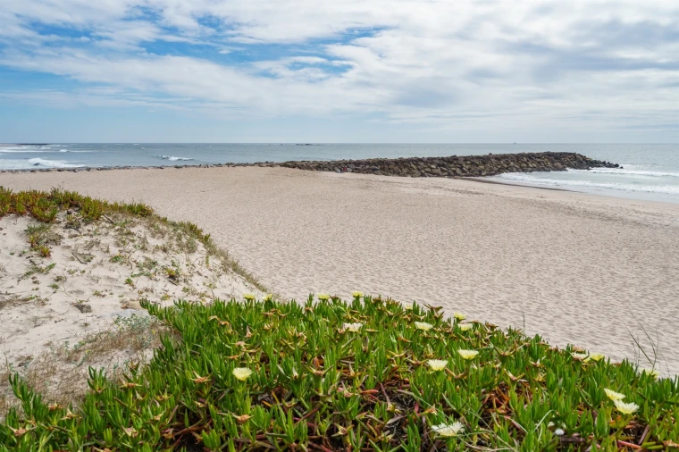Apartamento T2 para Arrendamento férias em Apúlia e Fão Foto 2