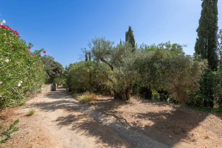 Moradia T4 para Venda em São Brás de Alportel Foto 37