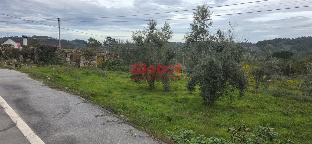 Terreno para Venda em Boa Aldeia, Farminhão e Torredeita Foto 3