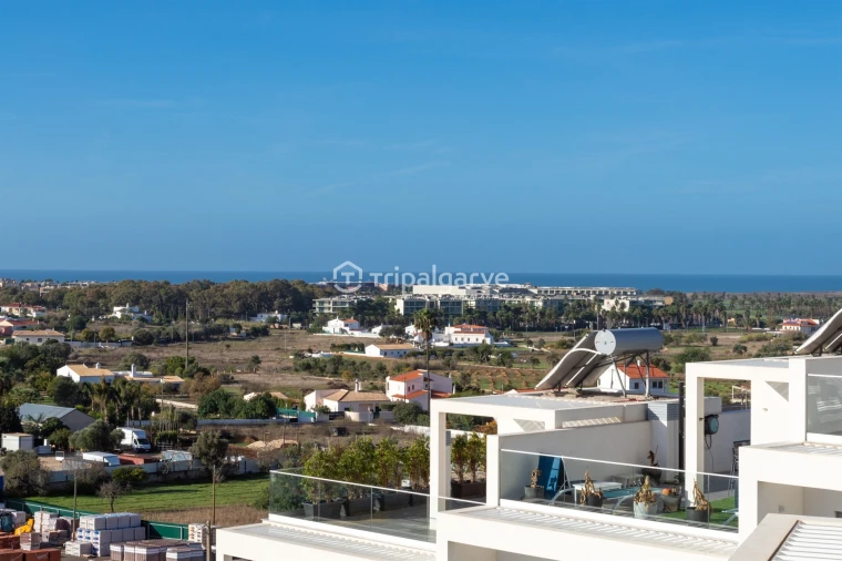 Moradia T3 para Venda em Guia Foto 34