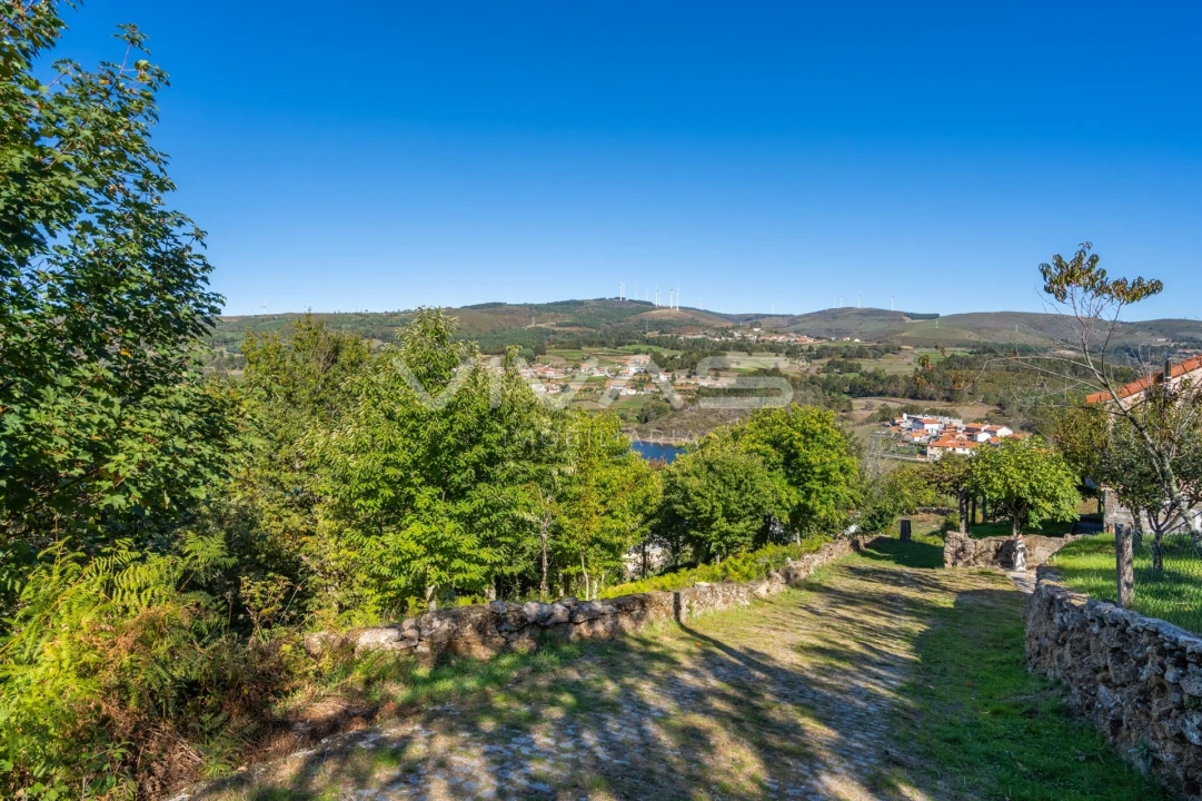 Terreno Agricola ou Rústico para Venda em Venda Nova e Pondras Foto 11