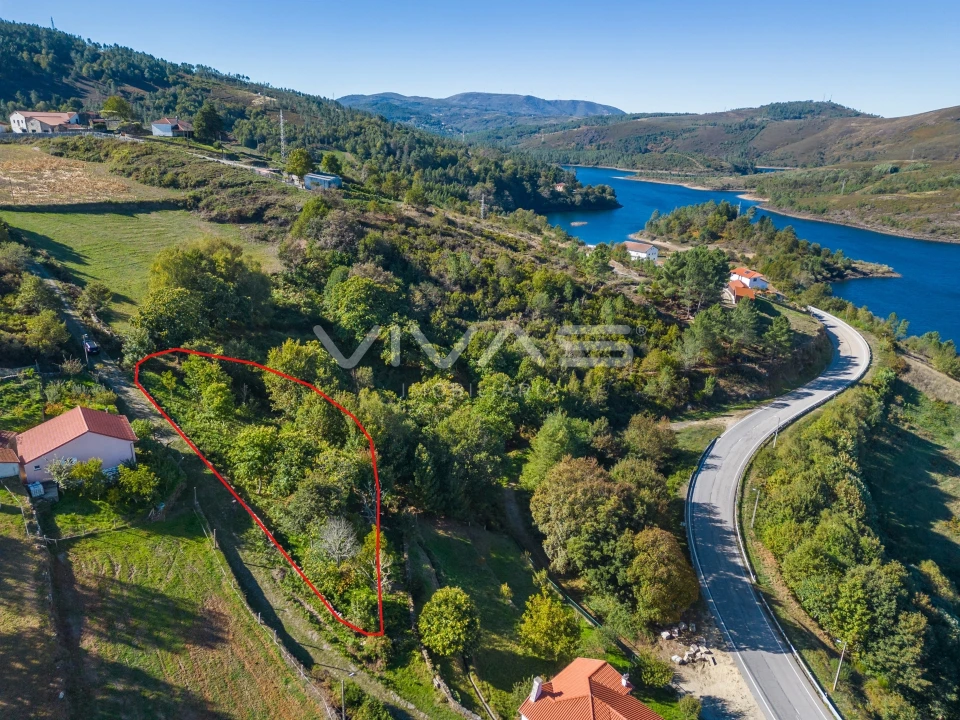 Terreno Agricola ou Rústico para Venda em Venda Nova e Pondras Foto 6