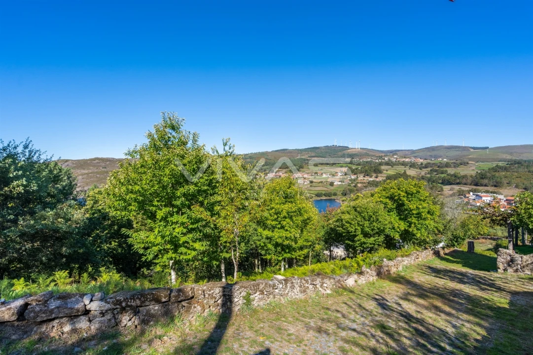 Terreno Agricola ou Rústico para Venda em Venda Nova e Pondras Foto 12