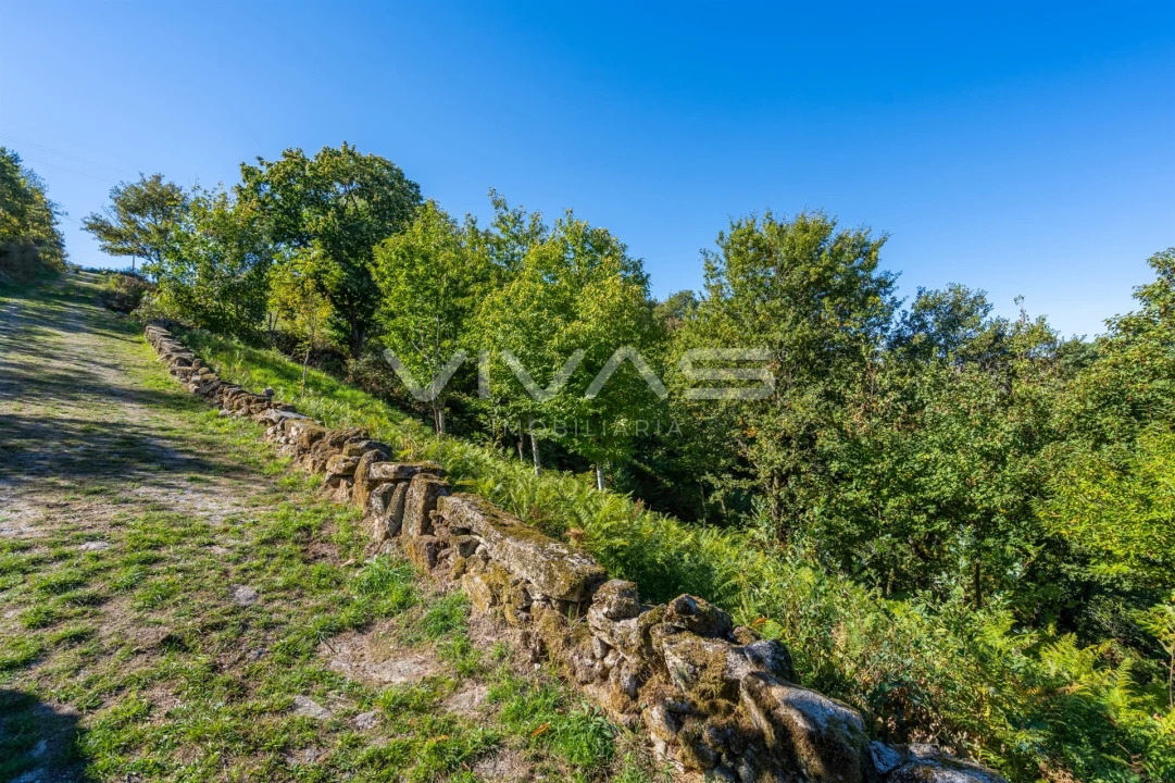 Terreno Agricola ou Rústico para Venda em Venda Nova e Pondras Foto 13